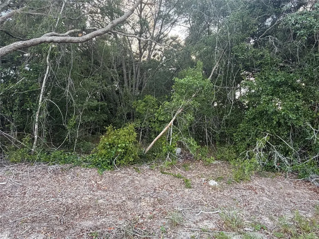 Lot 4 Ocala FL 34473