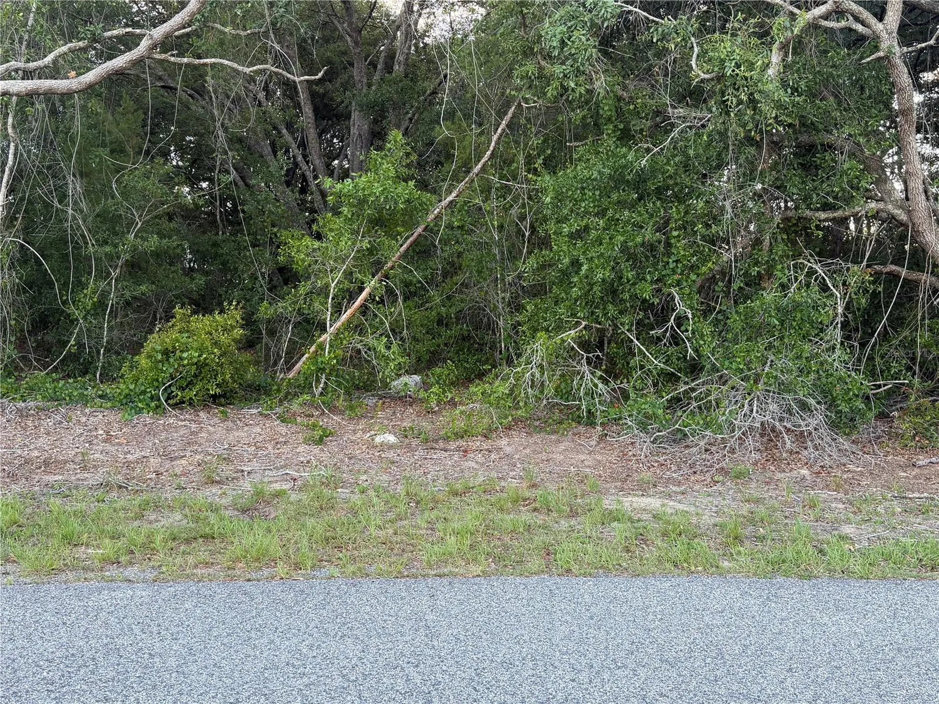 Lot 4 Ocala FL 34473
