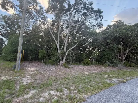 Lot 4 Ocala FL 34473