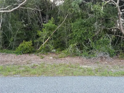 Lot 4 Ocala FL 34473