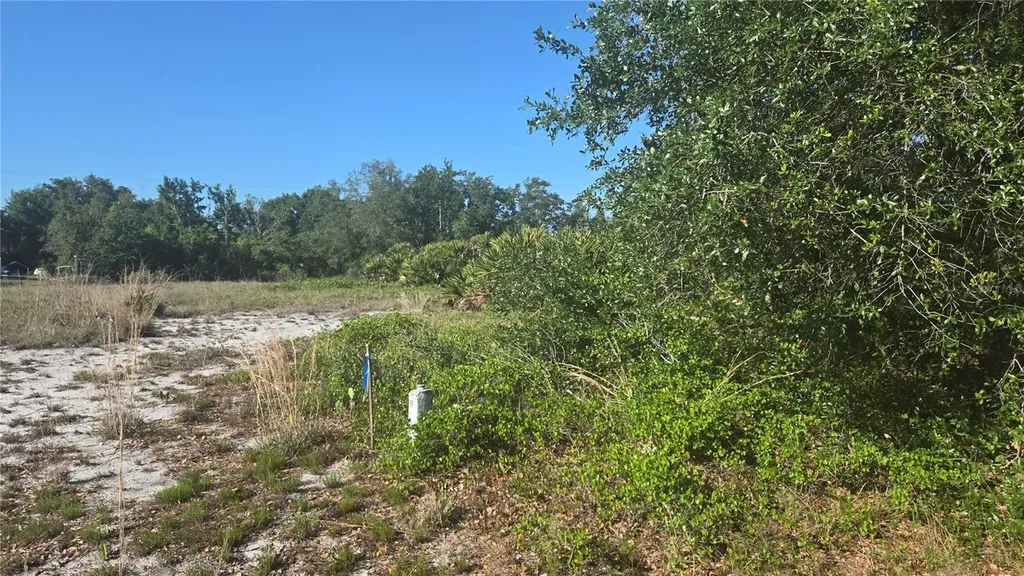2643 W Bandra Road Avon Park FL 33825