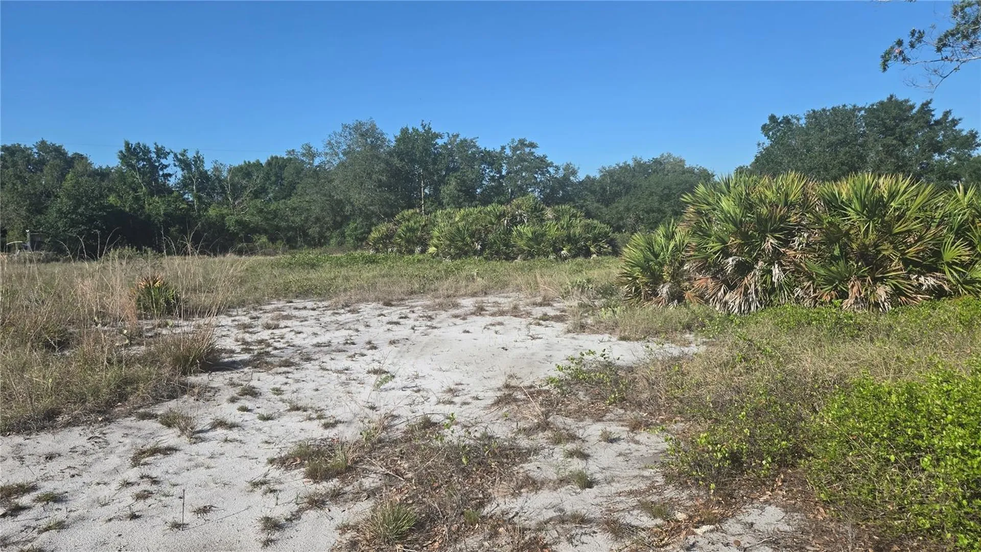 2643 W Bandra Road Avon Park FL 33825