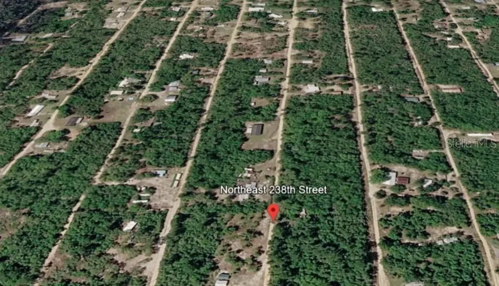 15589 NE 238th Street Fort Mc Coy FL 32134