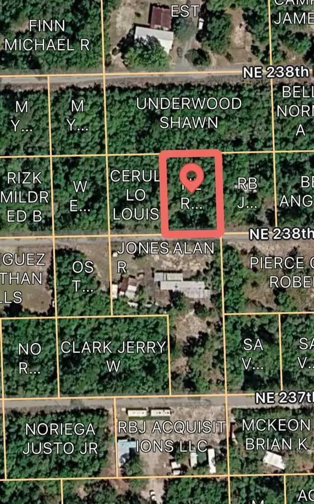 15589 NE 238th Street Fort Mc Coy FL 32134