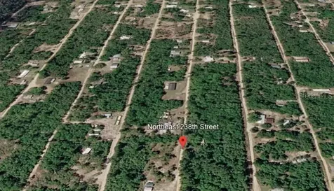 15589 NE 238th Street Fort Mc Coy FL 32134