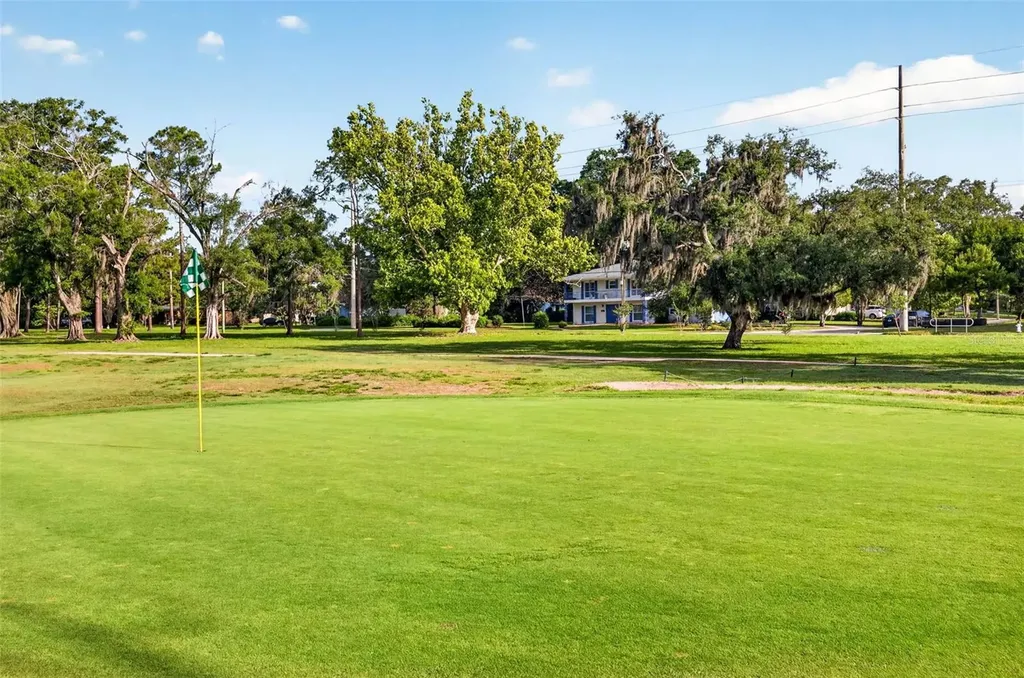 11004 Theresa Arbor Drive Temple Terrace FL 33617