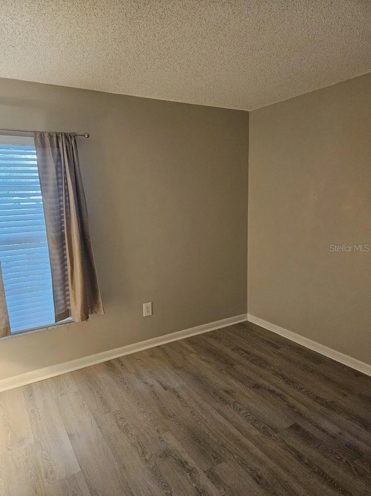 3956 Tumble Wood Trail Tampa FL 33613