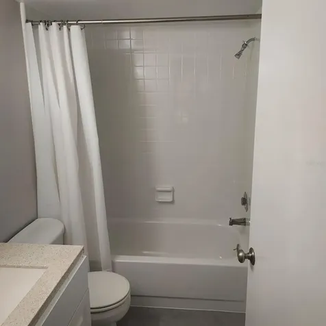 3956 Tumble Wood Trail Tampa FL 33613