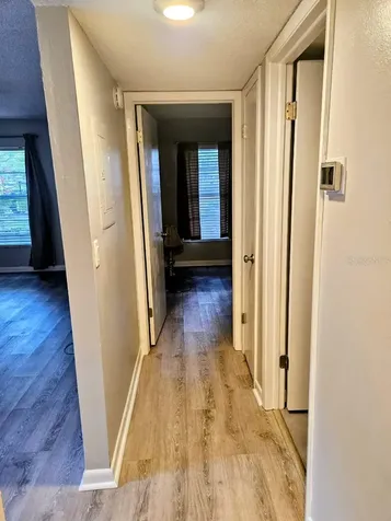 3956 Tumble Wood Trail Tampa FL 33613