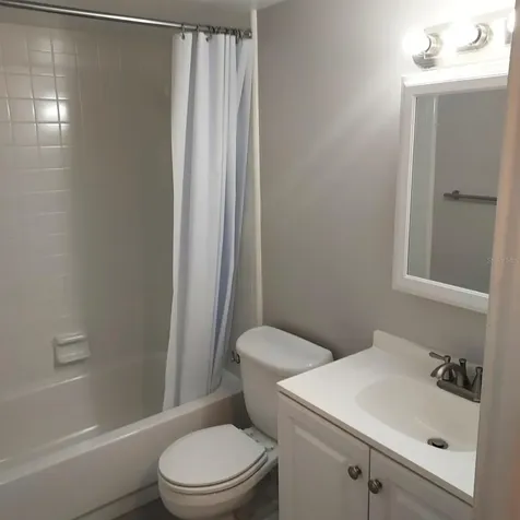3956 Tumble Wood Trail Tampa FL 33613