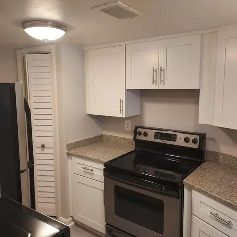 3956 Tumble Wood Trail Tampa FL 33613