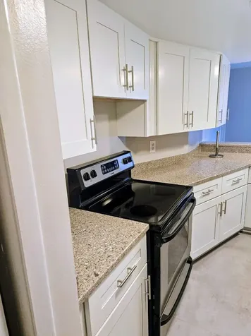 3956 Tumble Wood Trail Tampa FL 33613