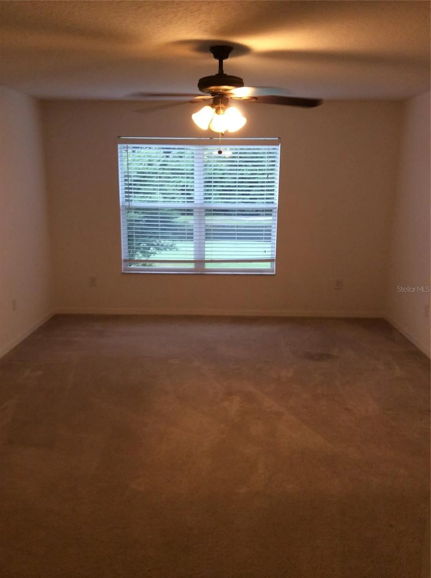10515 Coral Key Avenue Tampa FL 33647