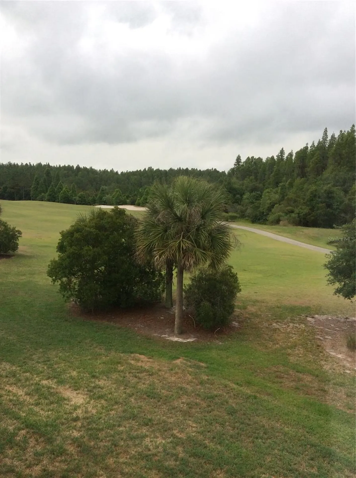 10515 Coral Key Avenue Tampa FL 33647