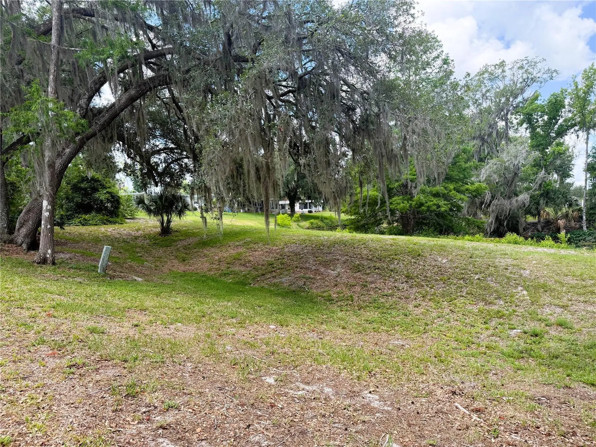 127 Royal Palm Drive Leesburg FL 34748