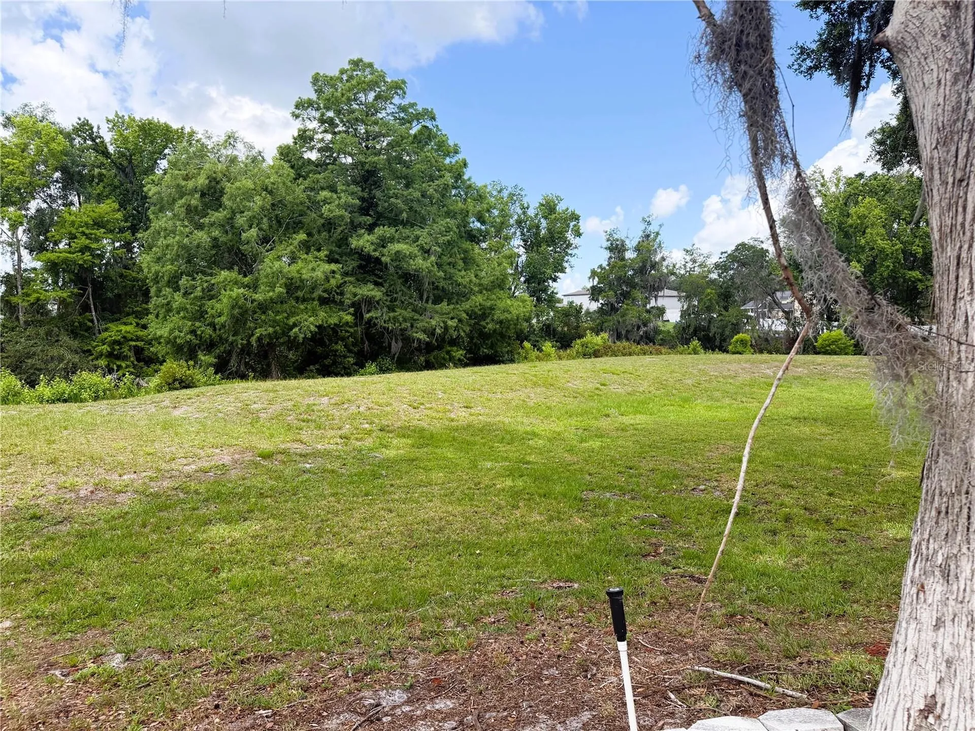 127 Royal Palm Drive Leesburg FL 34748