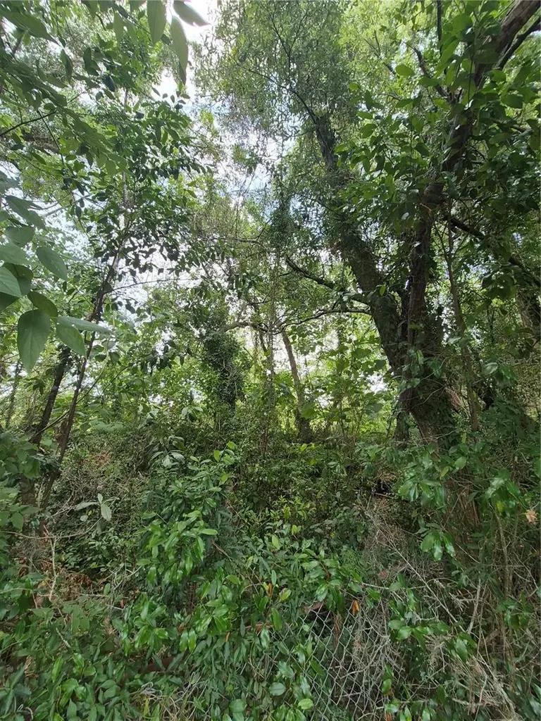 8748 NE Jacksonville Road Anthony FL 32617