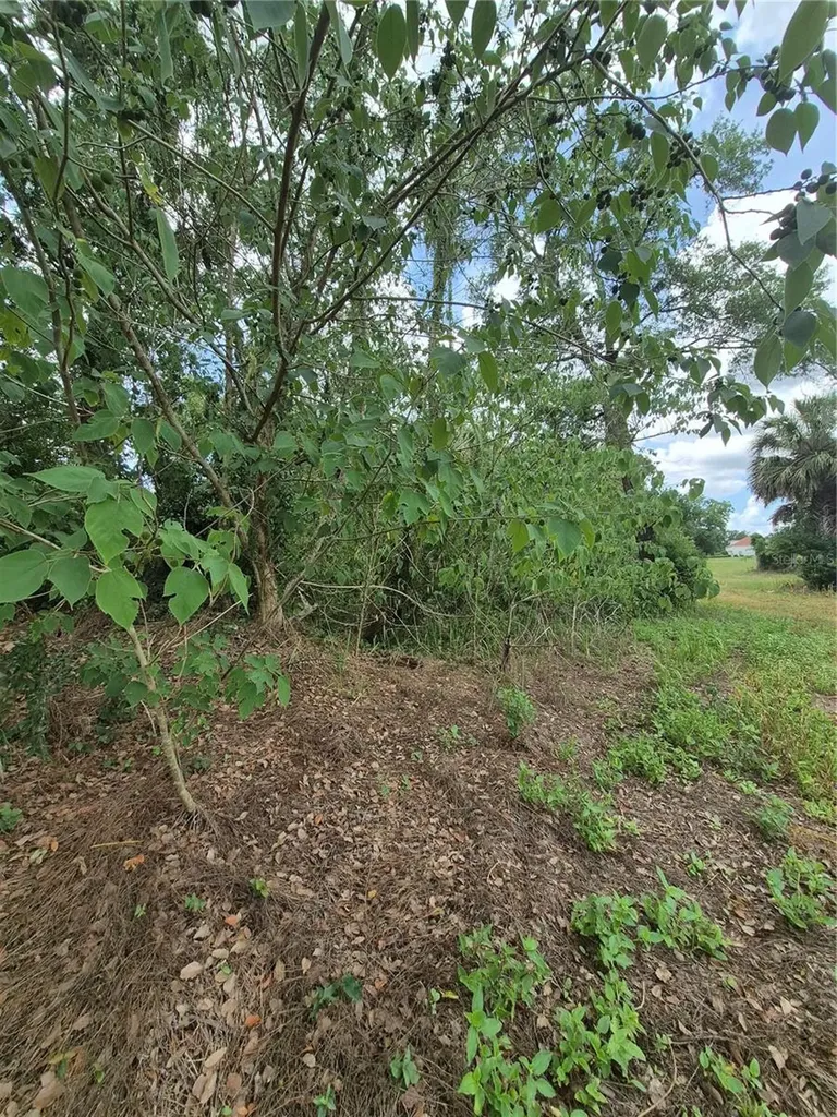 8748 NE Jacksonville Road Anthony FL 32617