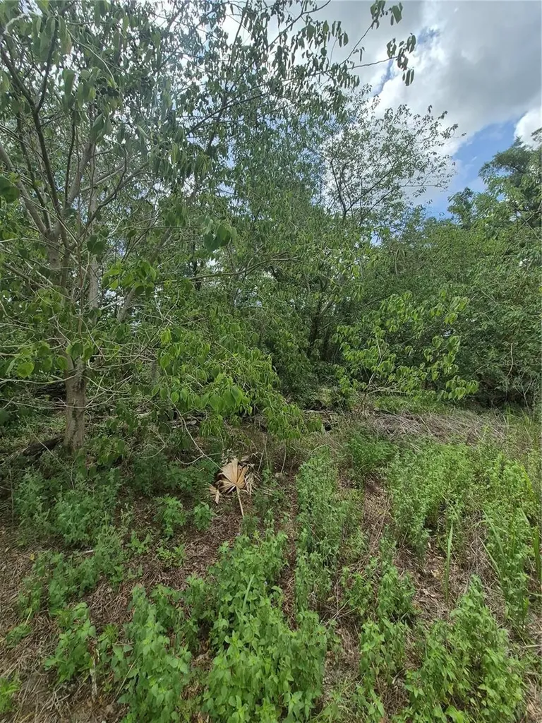 8748 NE Jacksonville Road Anthony FL 32617