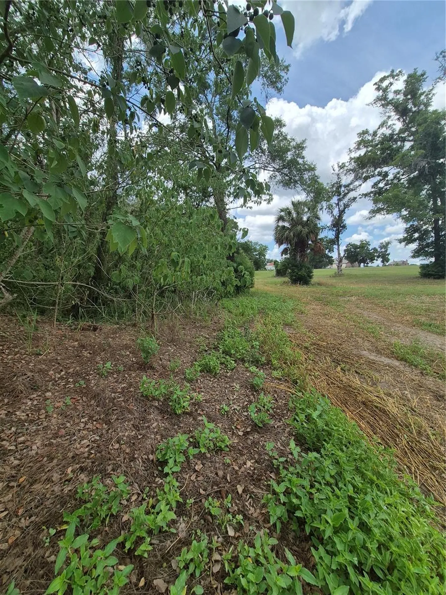 8748 NE Jacksonville Road Anthony FL 32617