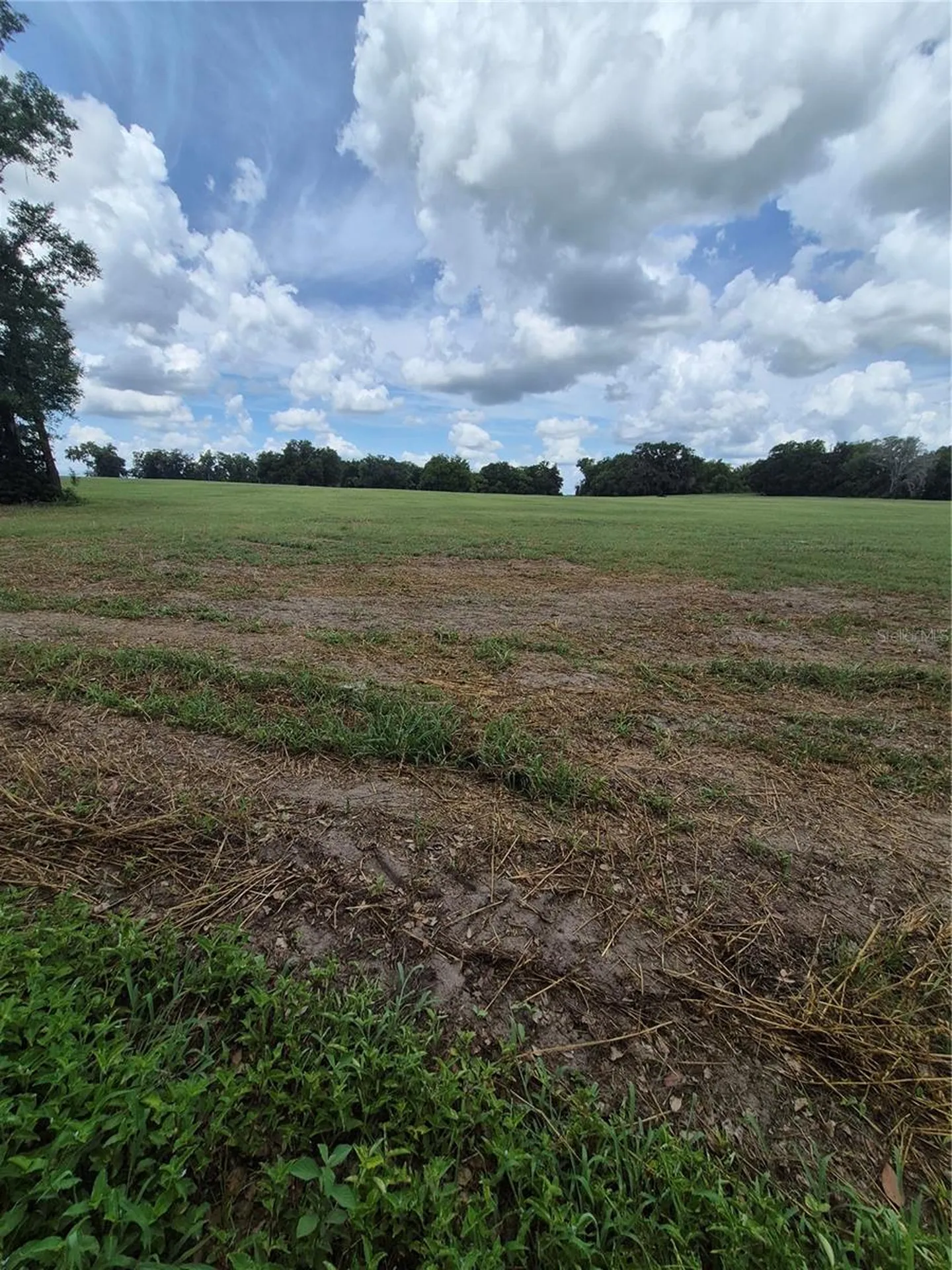 8748 NE Jacksonville Road Anthony FL 32617