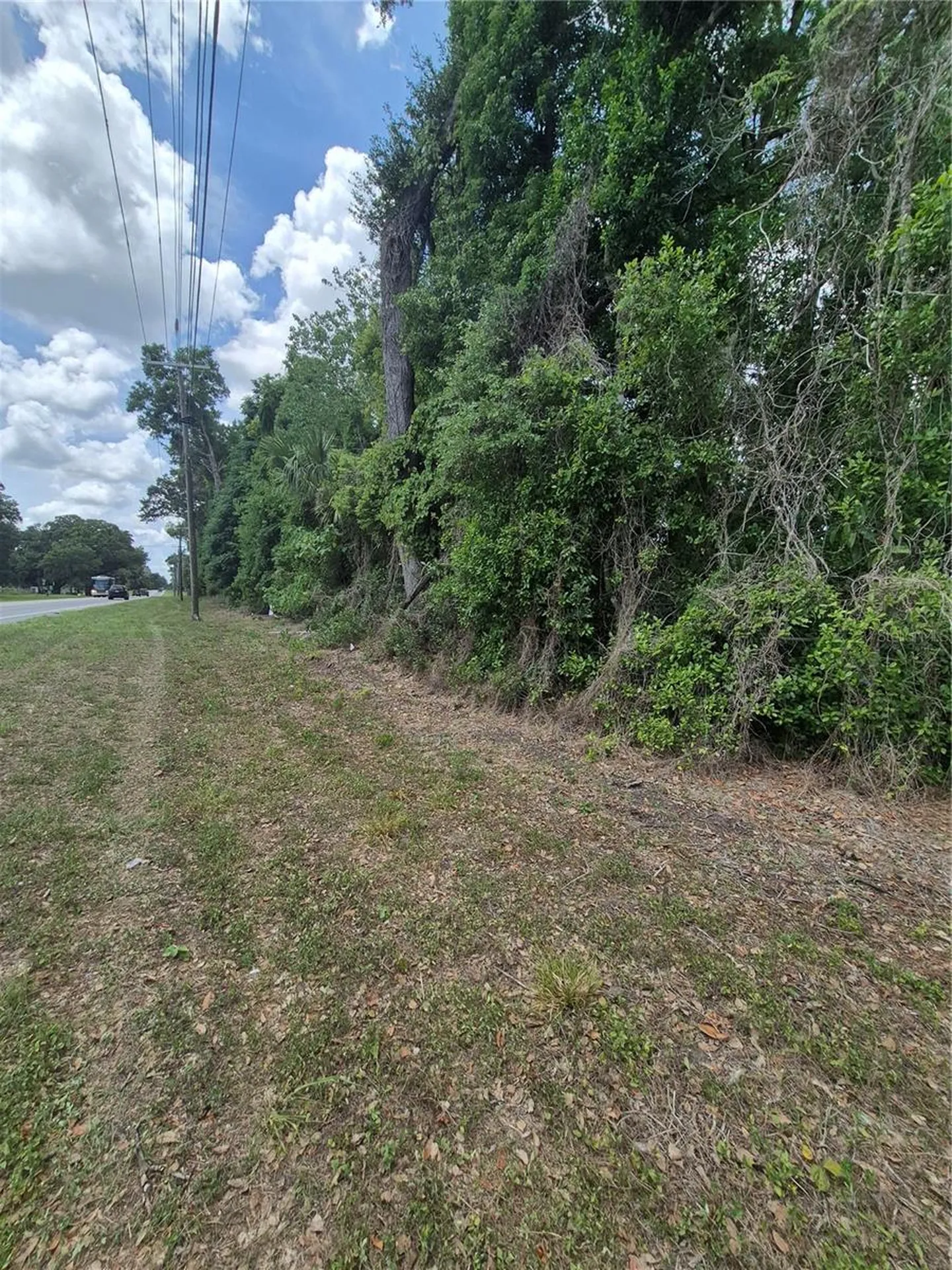 8748 NE Jacksonville Road Anthony FL 32617