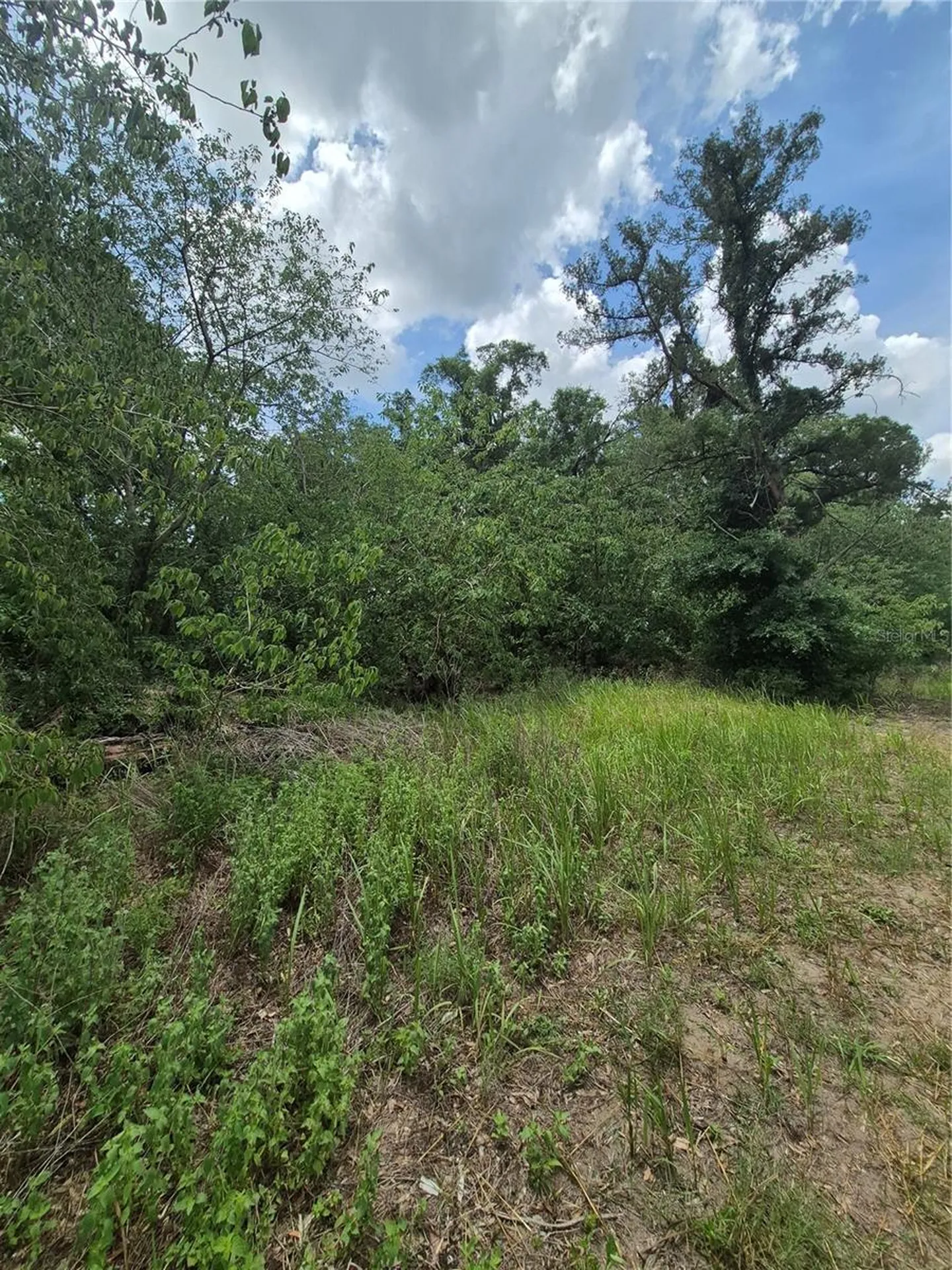 8748 NE Jacksonville Road Anthony FL 32617
