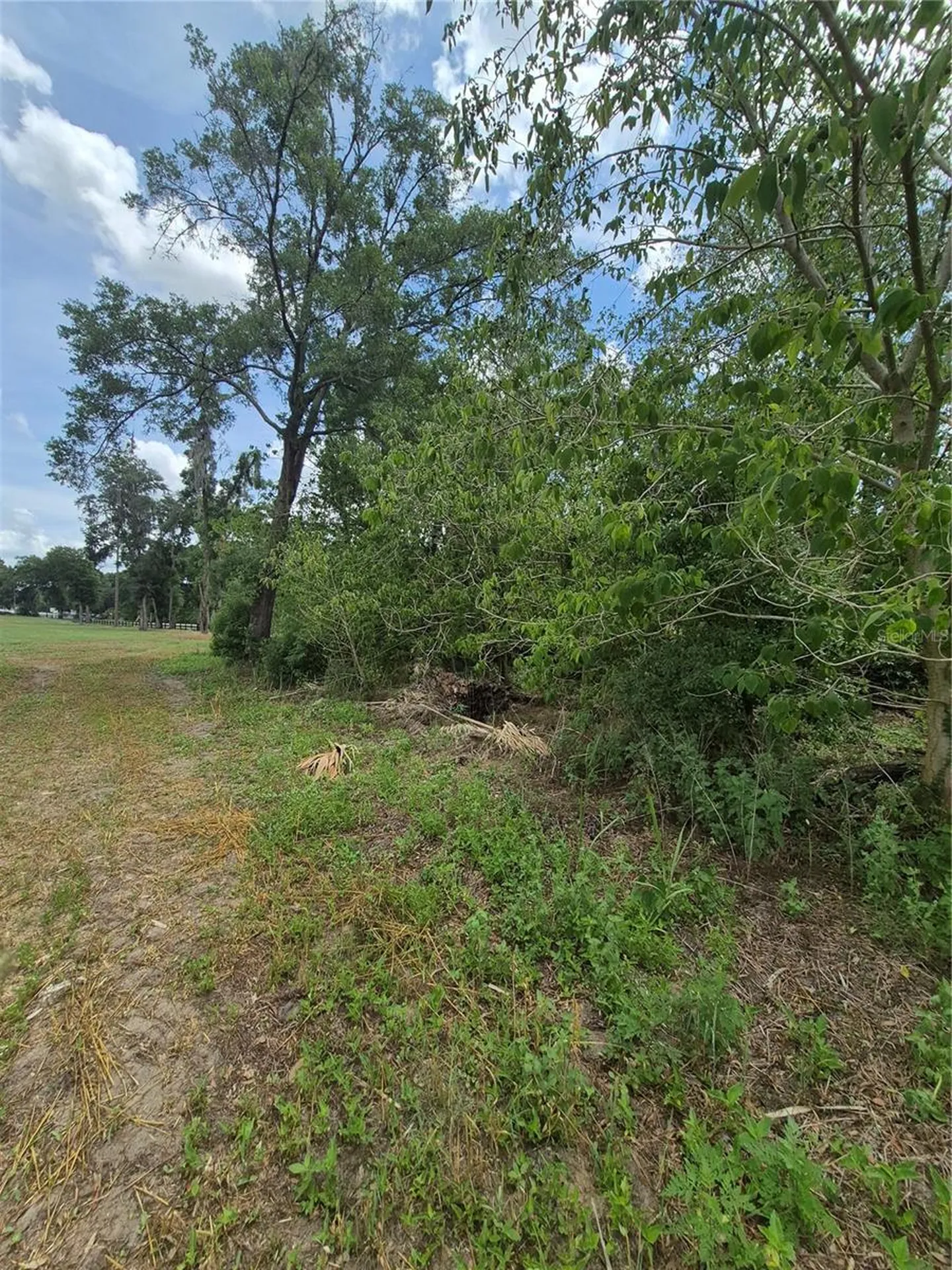 8748 NE Jacksonville Road Anthony FL 32617
