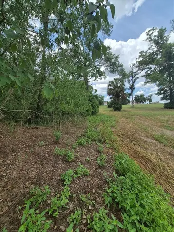 8748 NE Jacksonville Road Anthony FL 32617