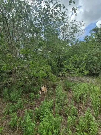 8748 NE Jacksonville Road Anthony FL 32617