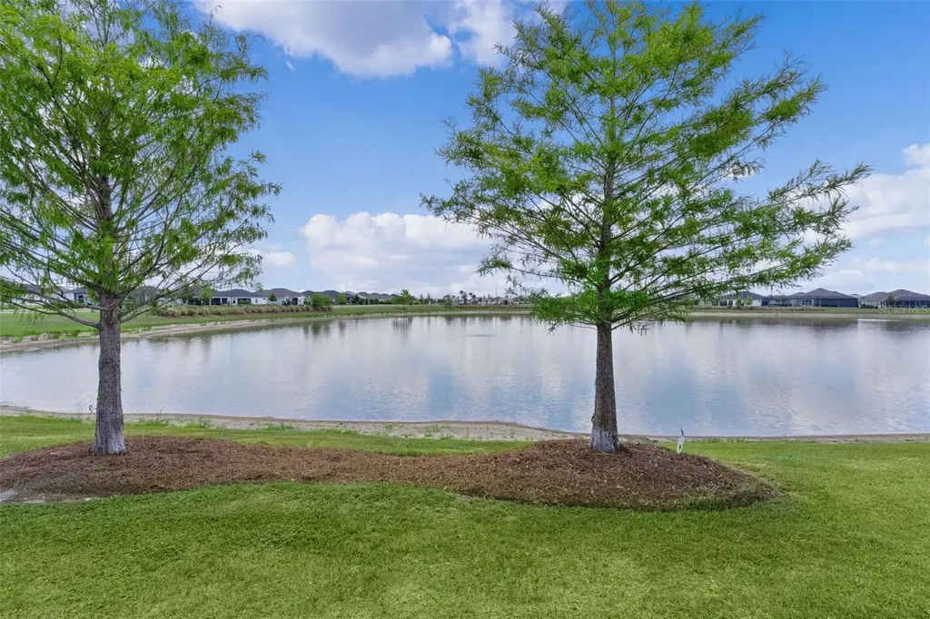 1617 Caldorette Drive The Villages FL 34762