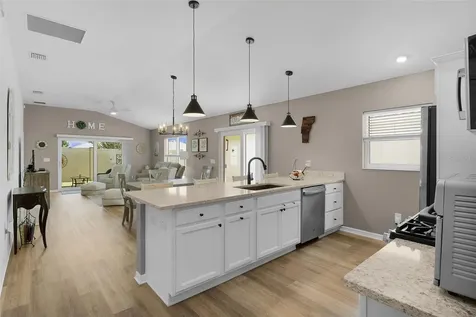 1617 Cadorette Drive The Villages FL 34762