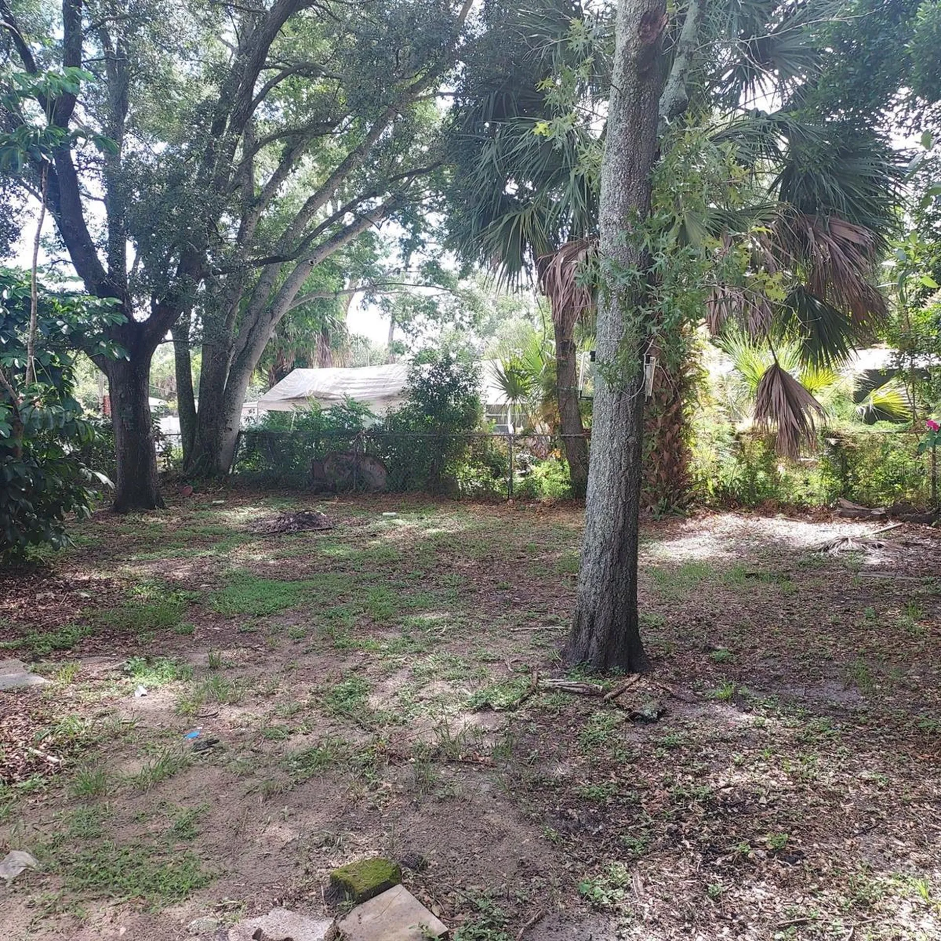 4617 Snook Drive Tampa FL 33617