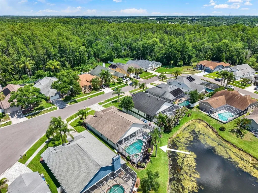 9042 Breland Drive Tampa FL 33626