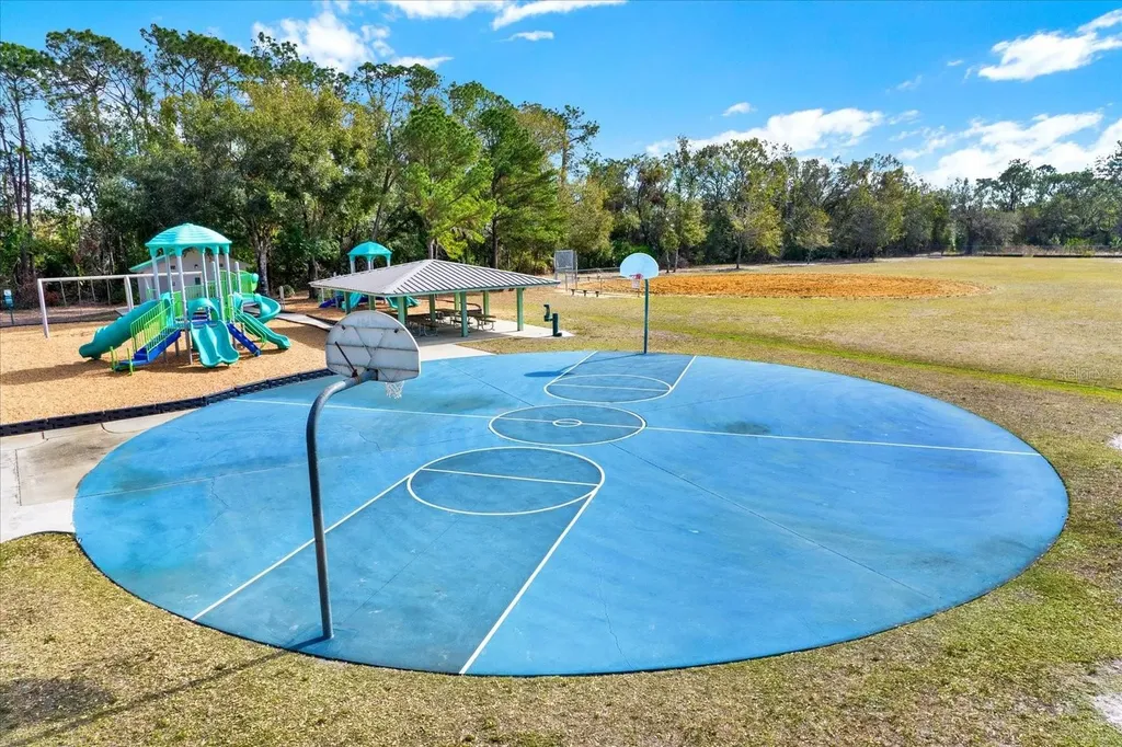 9042 Breland Drive Tampa FL 33626