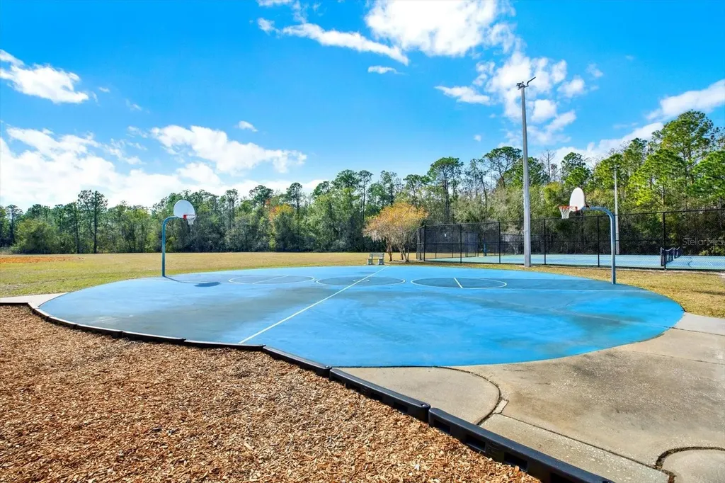 9042 Breland Drive Tampa FL 33626