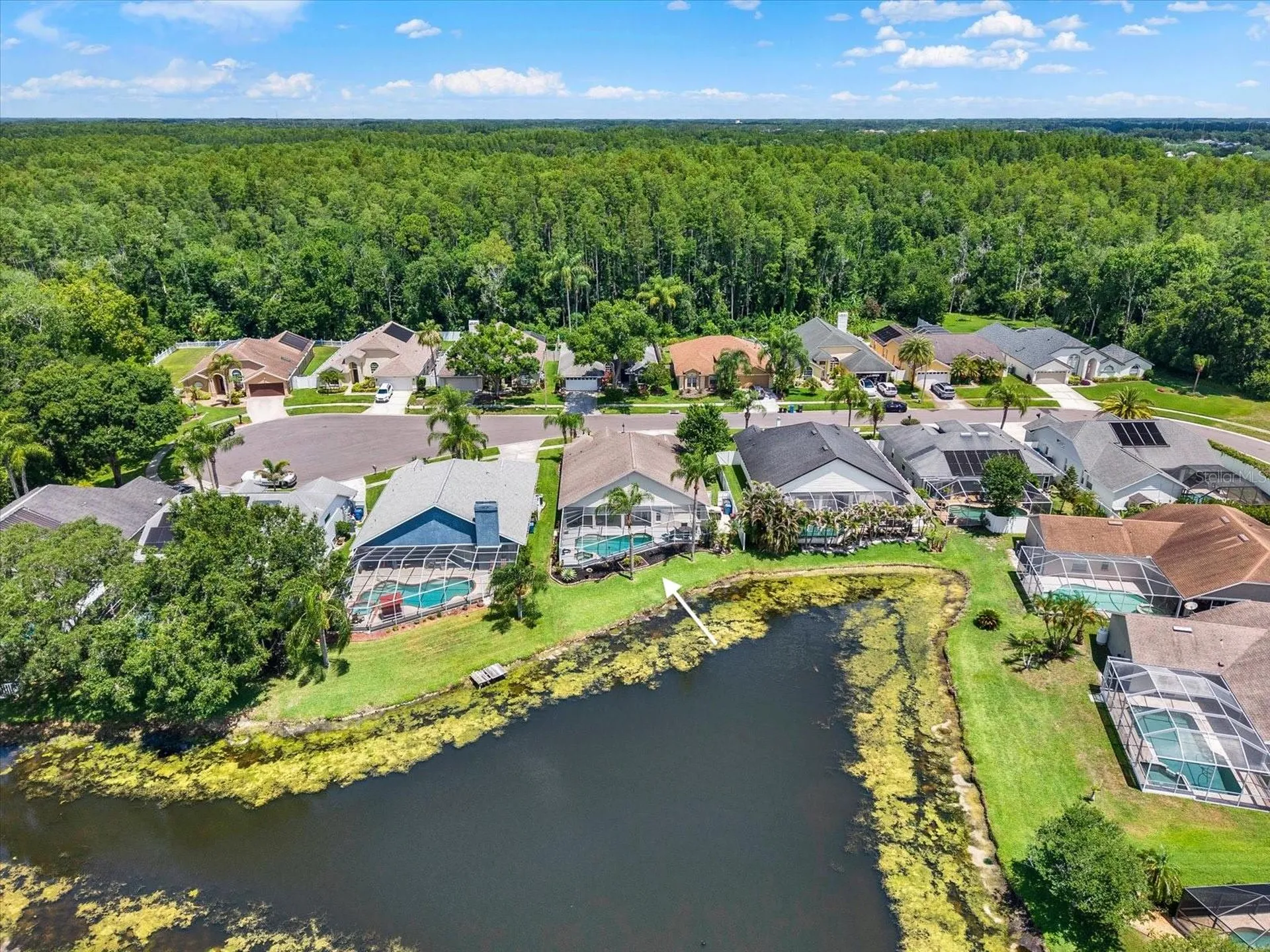 9042 Breland Drive Tampa FL 33626