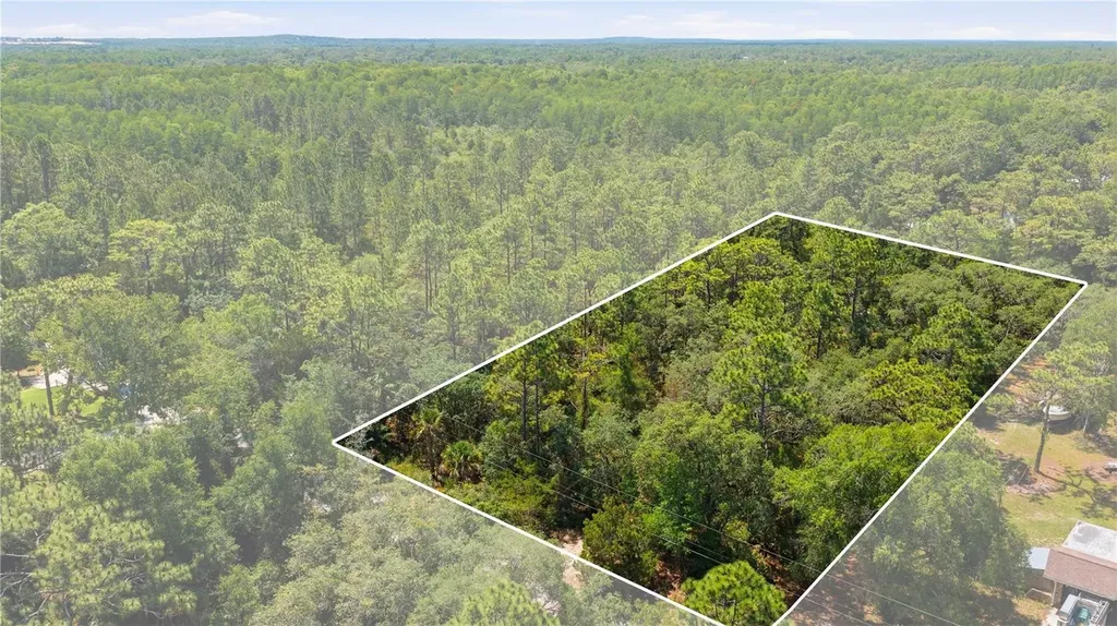 8266 W Anna Gail Lane Crystal River FL 34429