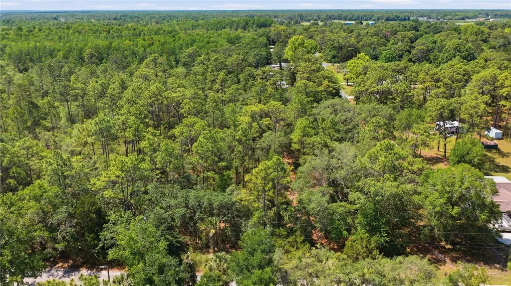 8266 W Anna Gail Lane Crystal River FL 34429