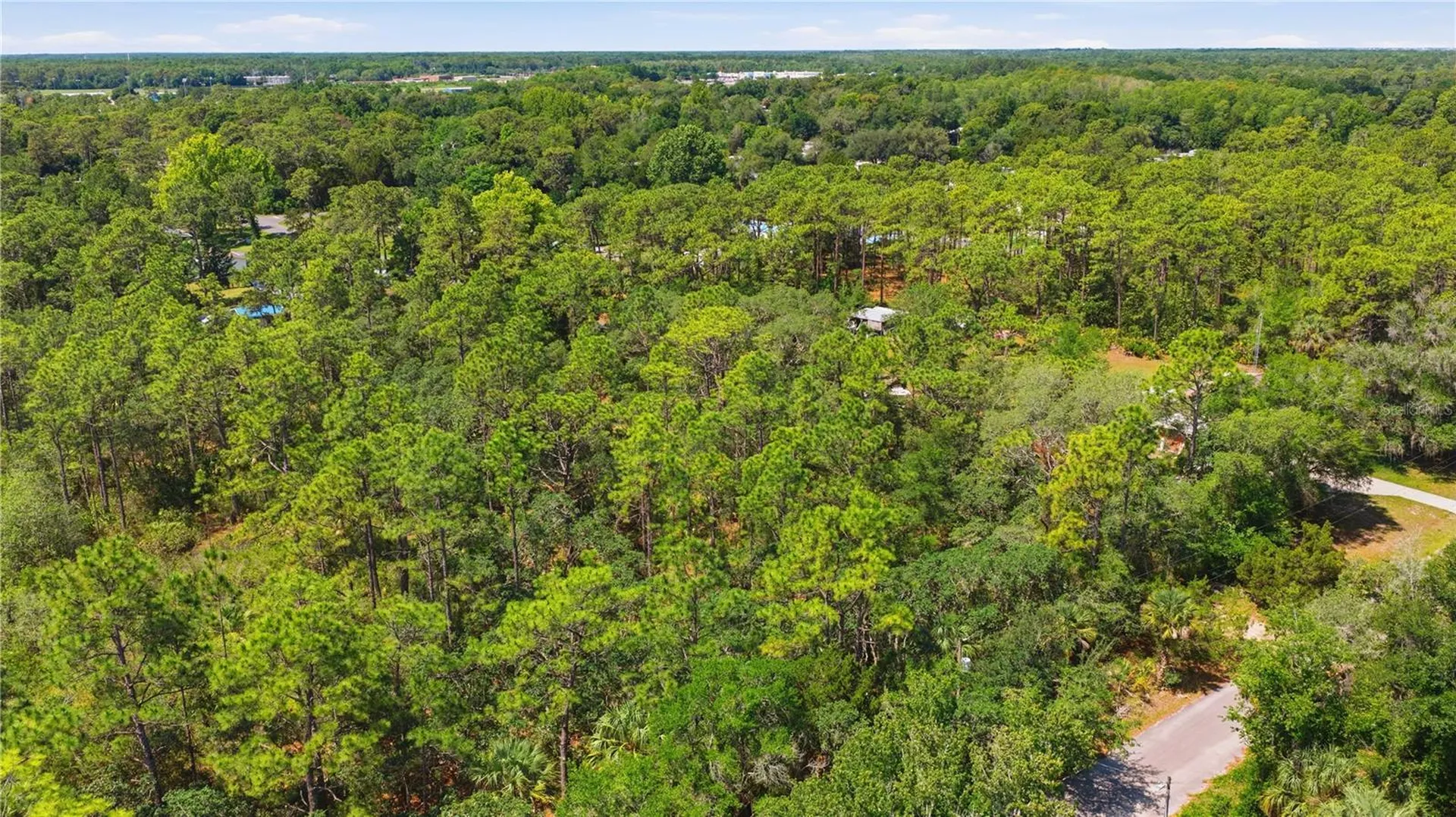 8266 W Anna Gail Lane Crystal River FL 34429