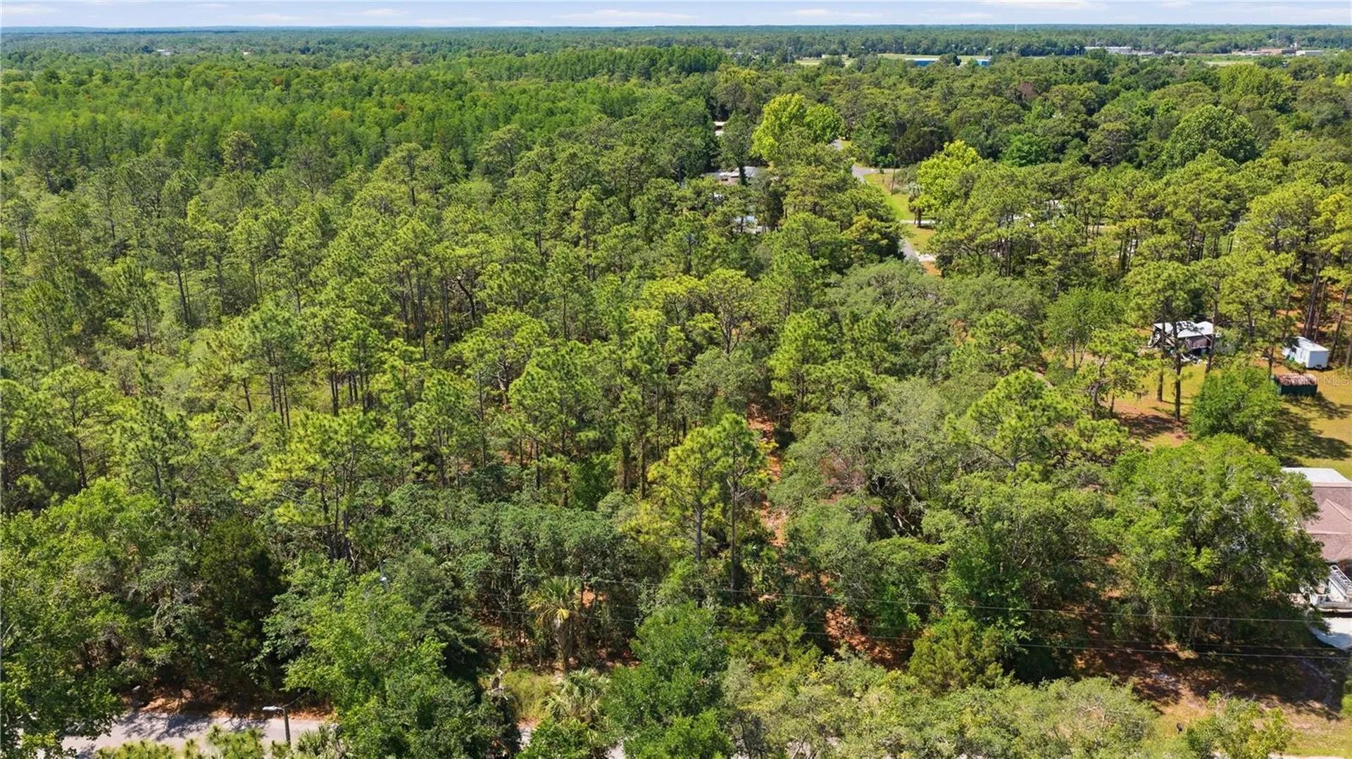 8266 W Anna Gail Lane Crystal River FL 34429