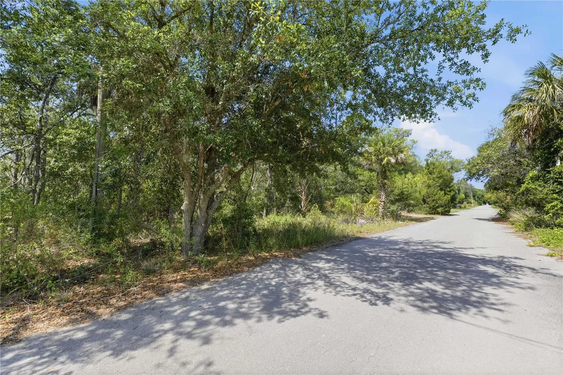 8266 W Anna Gail Lane Crystal River FL 34429