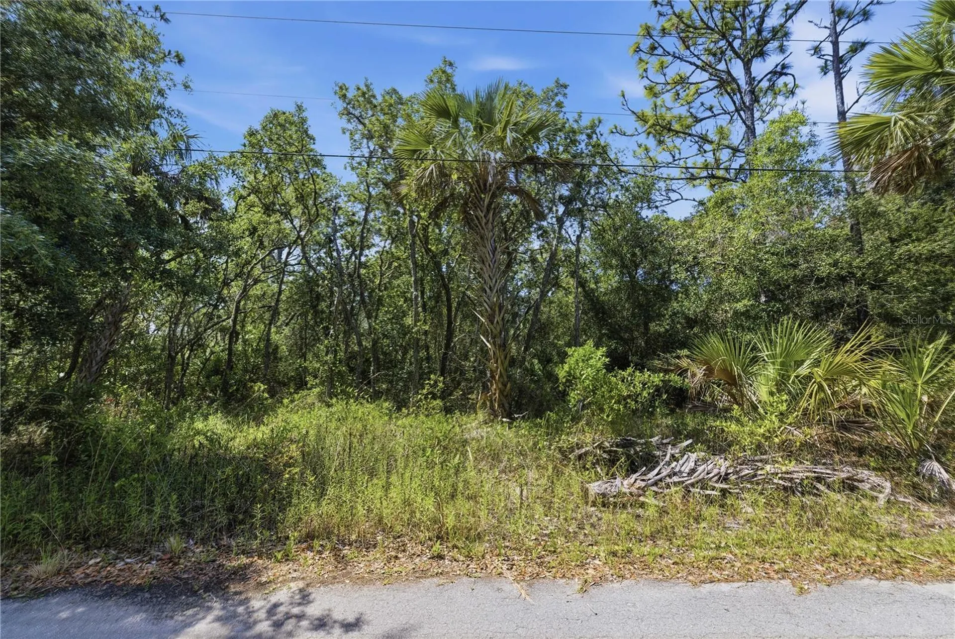 8266 W Anna Gail Lane Crystal River FL 34429