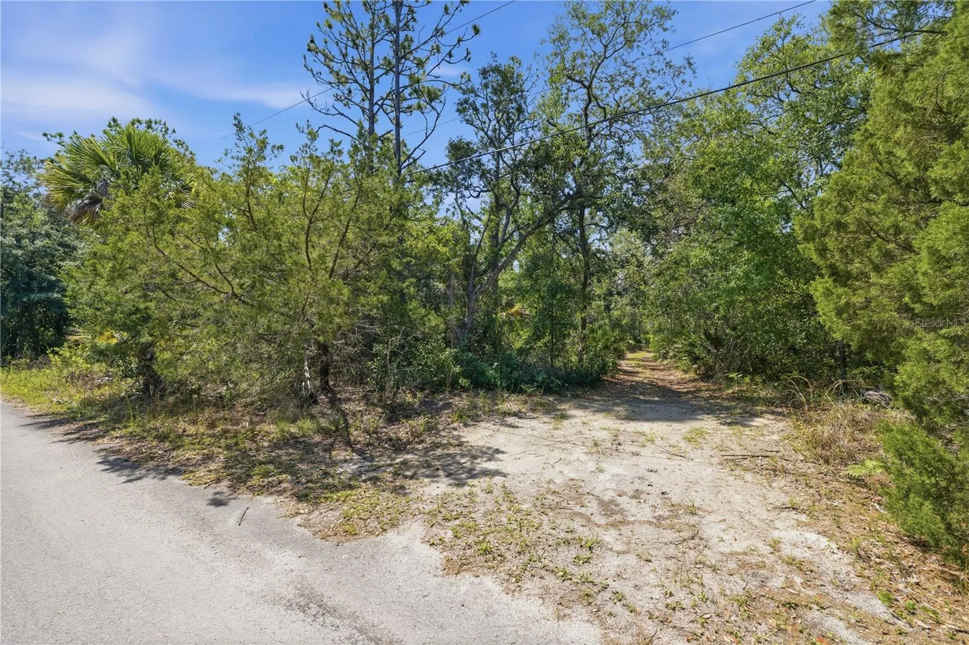 8266 W Anna Gail Lane Crystal River FL 34429