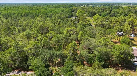 8266 W Anna Gail Lane Crystal River FL 34429