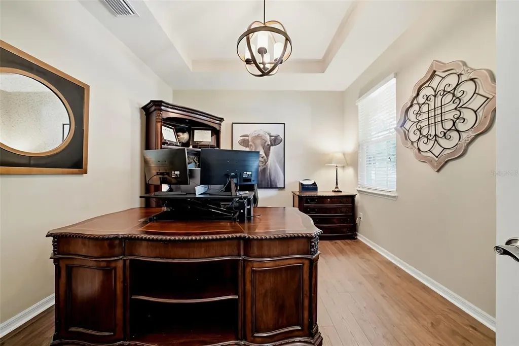 24115 San Giovanni Drive Land O Lakes FL 34639