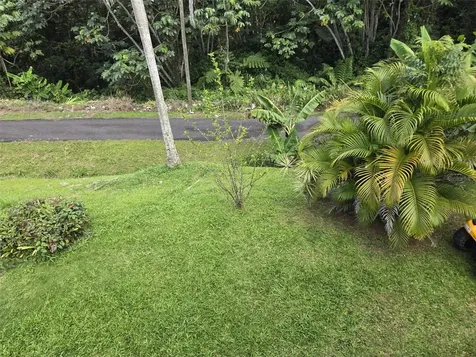 Carr 813 Km 2.5 Int Naranjito PR 00719
