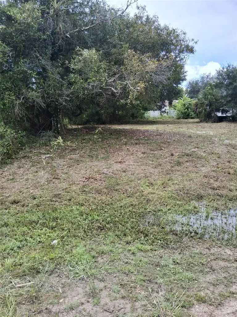 14070 Carlos Street Fort Myers FL 33905