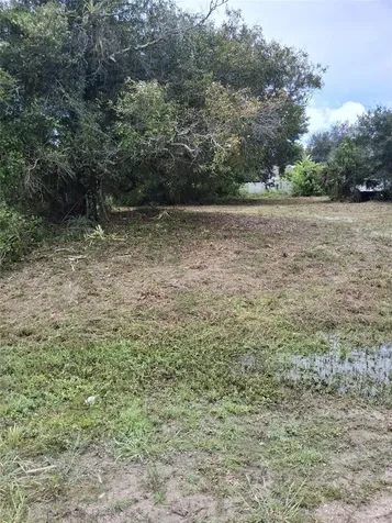 14070 Carlos Street Fort Myers FL 33905