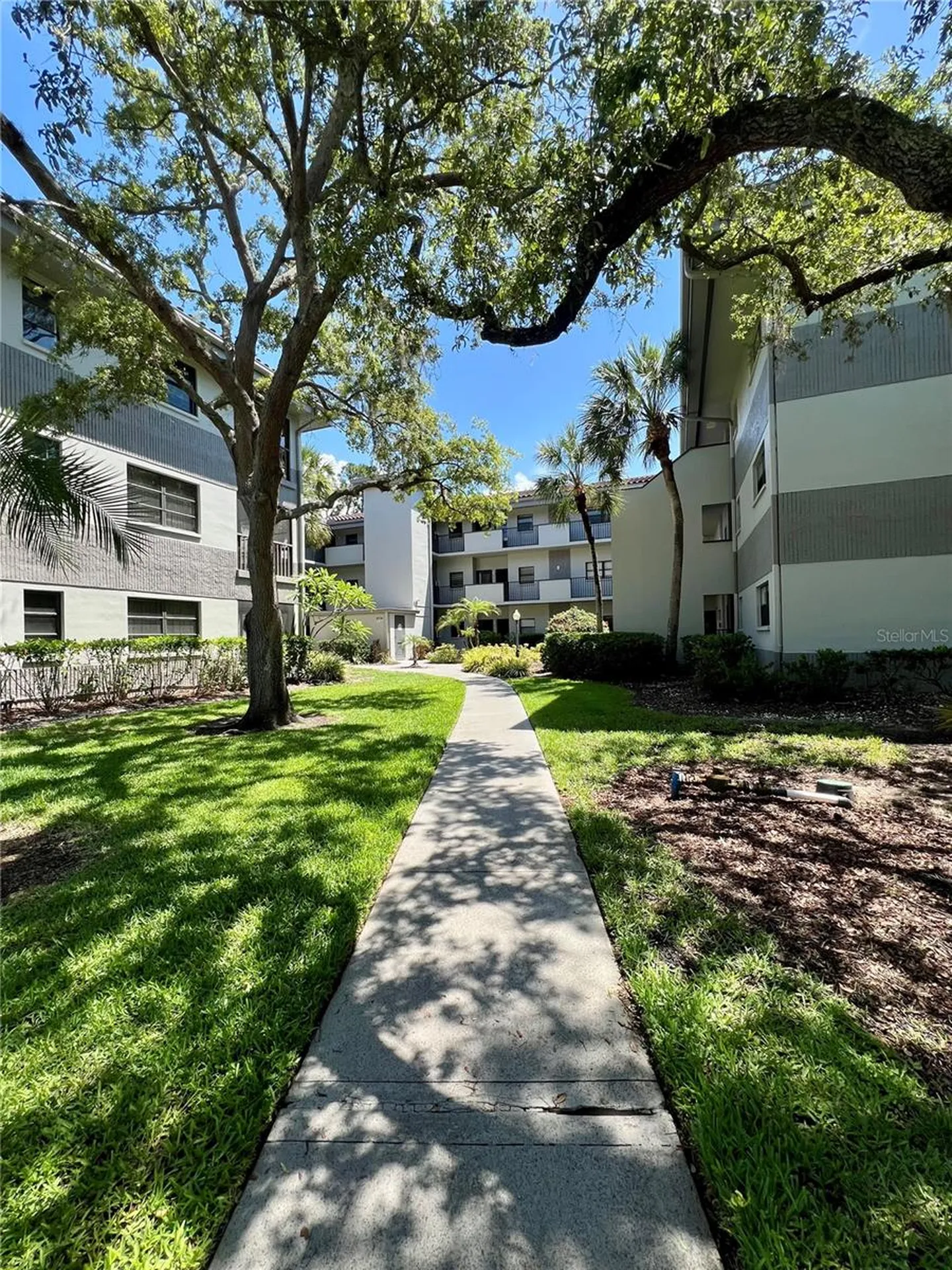 2650 Countryside Boulevard Clearwater FL 33761